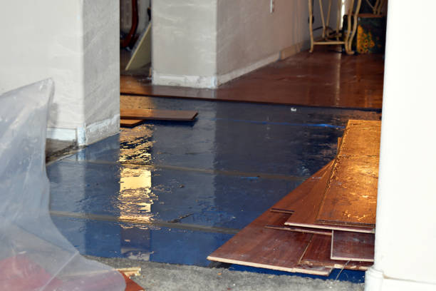 Professional Basement Flooding technician working in Cotuit, MA